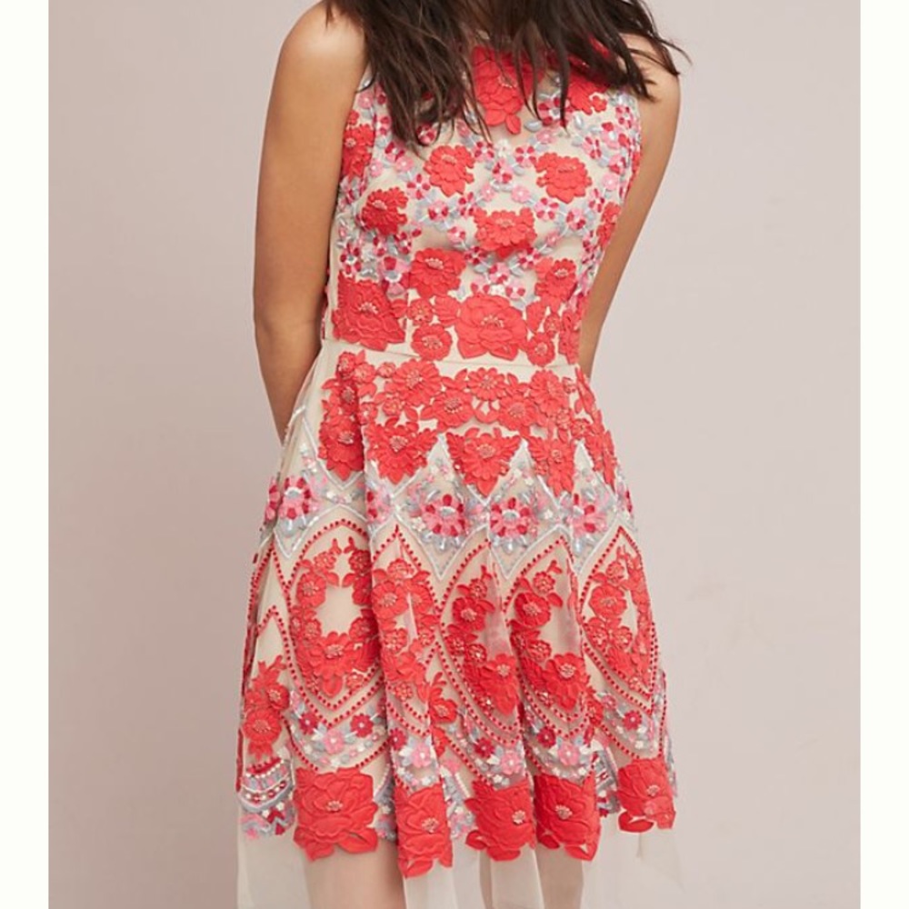 ISO - Rosalina Applique Dress